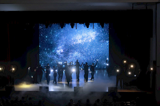 Ceremonial reception: The premiere screening — photo 36