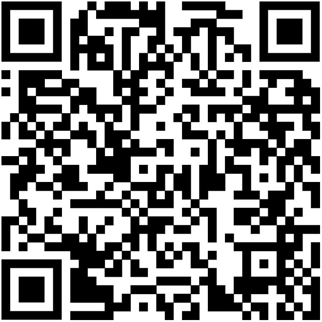 QR-код СБП Газпромбанка для пожертвования в эндаумент-фонд НИУ БелГУ