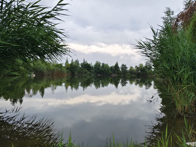 The botanical garden and the campus — photo 8